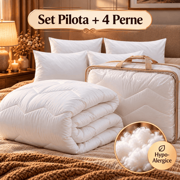 Set pilota + 4 perne | 4254