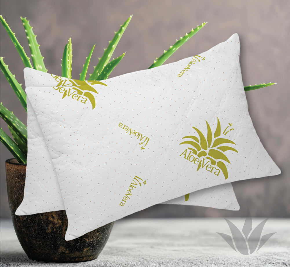 Perna Aloe Vera | 16450-R