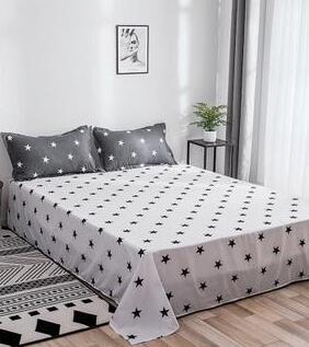 Lenjerie de pat bumbac satinat – 4 piese | 16635-C